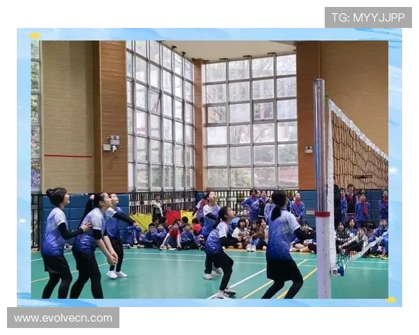 成都排球队在挑战赛中的节奏表现分析与点评展现团队协作与技术水平